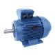 15Kw 2 Pole 400/690V 3Ph IE3 Cast Iron Electric Motor